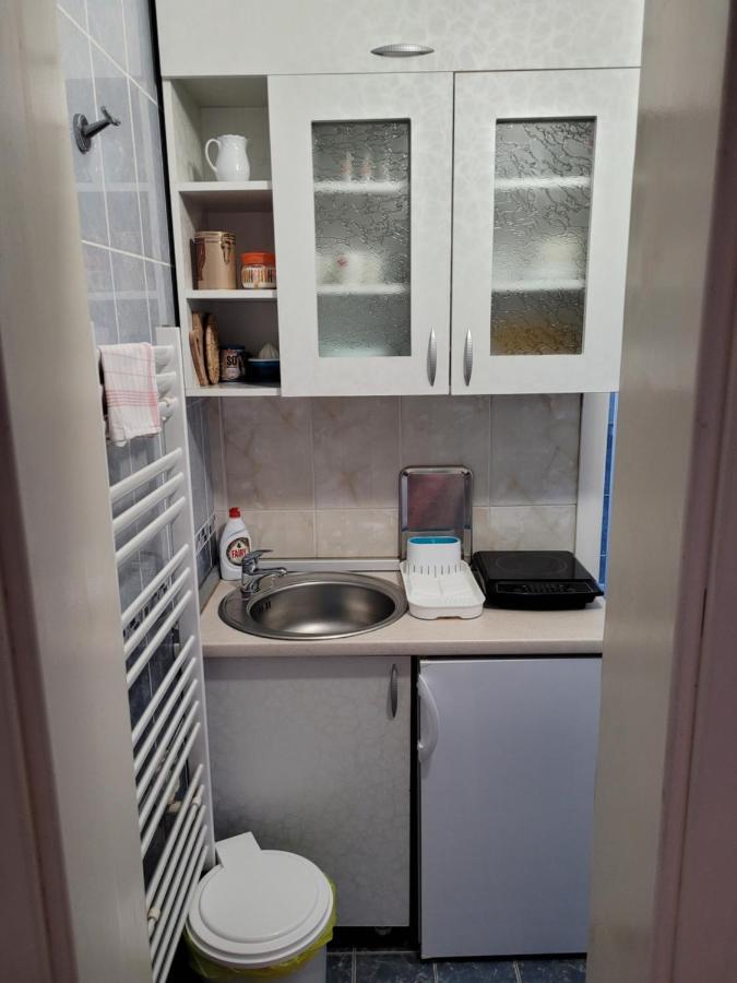 Apartmani Apolon Vrdnik Bagian luar foto