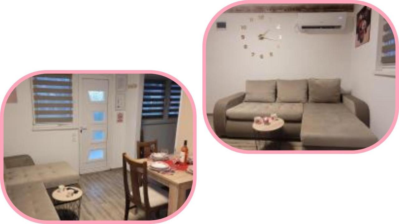 Apartmani Apolon Vrdnik Bagian luar foto