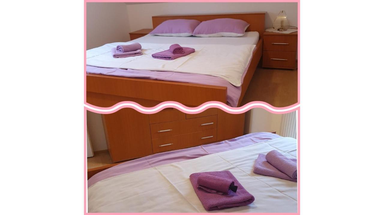 Apartmani Apolon Vrdnik Bagian luar foto