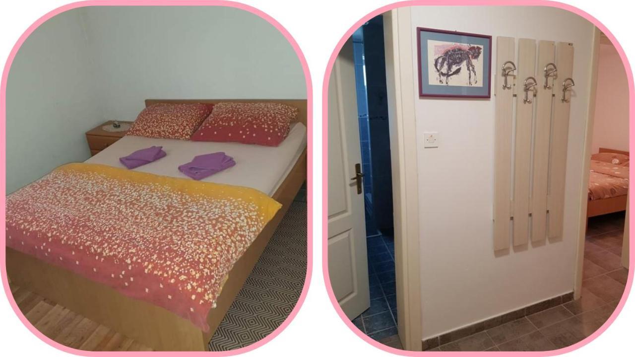 Apartmani Apolon Vrdnik Bagian luar foto