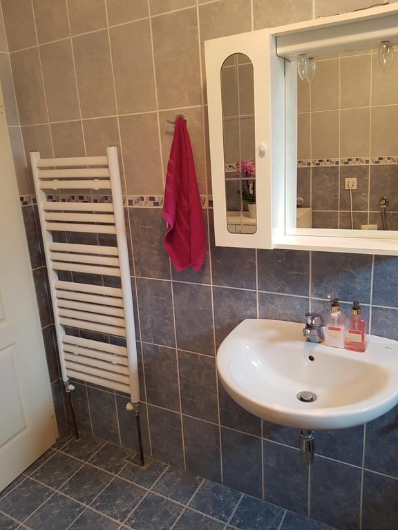 Apartmani Apolon Vrdnik Bagian luar foto